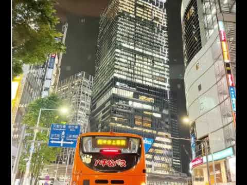 【市川團十郎白猿】渋谷の街を歩いてたら､､､大声で!? 海老蔵!!!