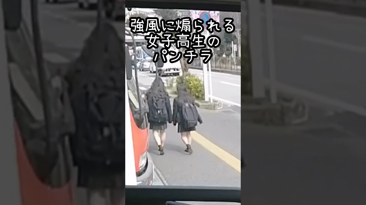 強風に煽られる女子高生の派手なパンチラ…