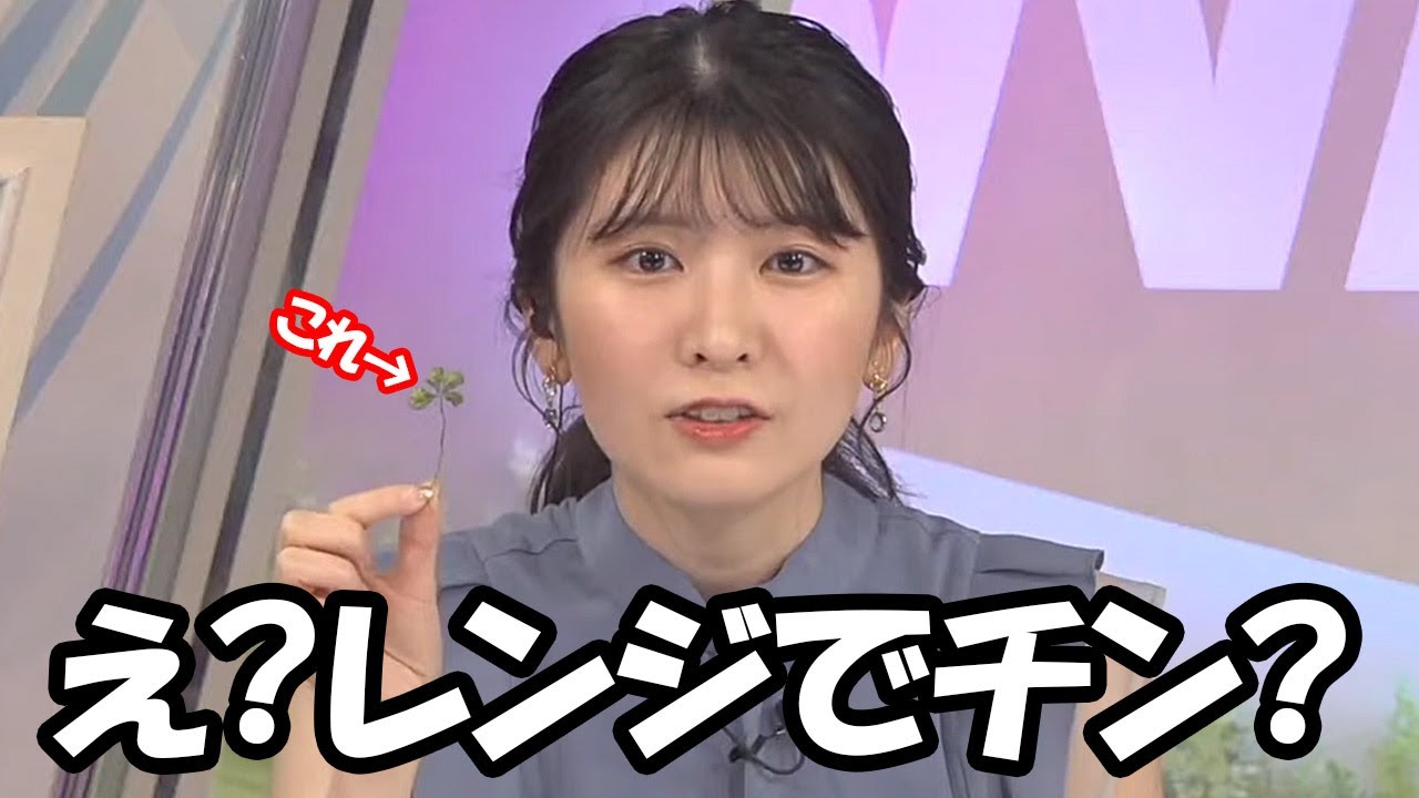 【駒木結衣】ゆい散歩で採ってきた四つ葉のクローバーを巡りとんでもない聞き間違いをしツボゆいを炸裂させるお天気お姉さん