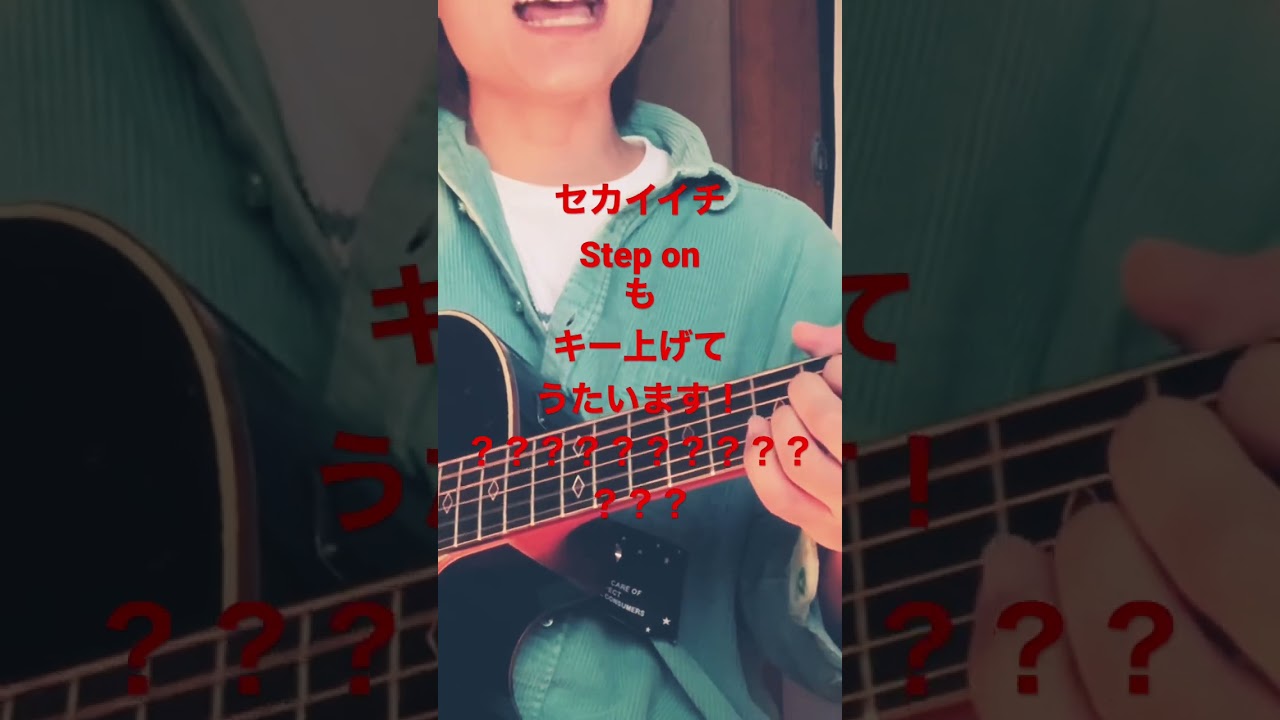 『なに？この高音？』セカイイチ　Step on もキー上げて歌います！ #歌うま #cover #guitarmusic #愛を伝えたいだとか #セカイイチ　#弾き語り #guitarsongs