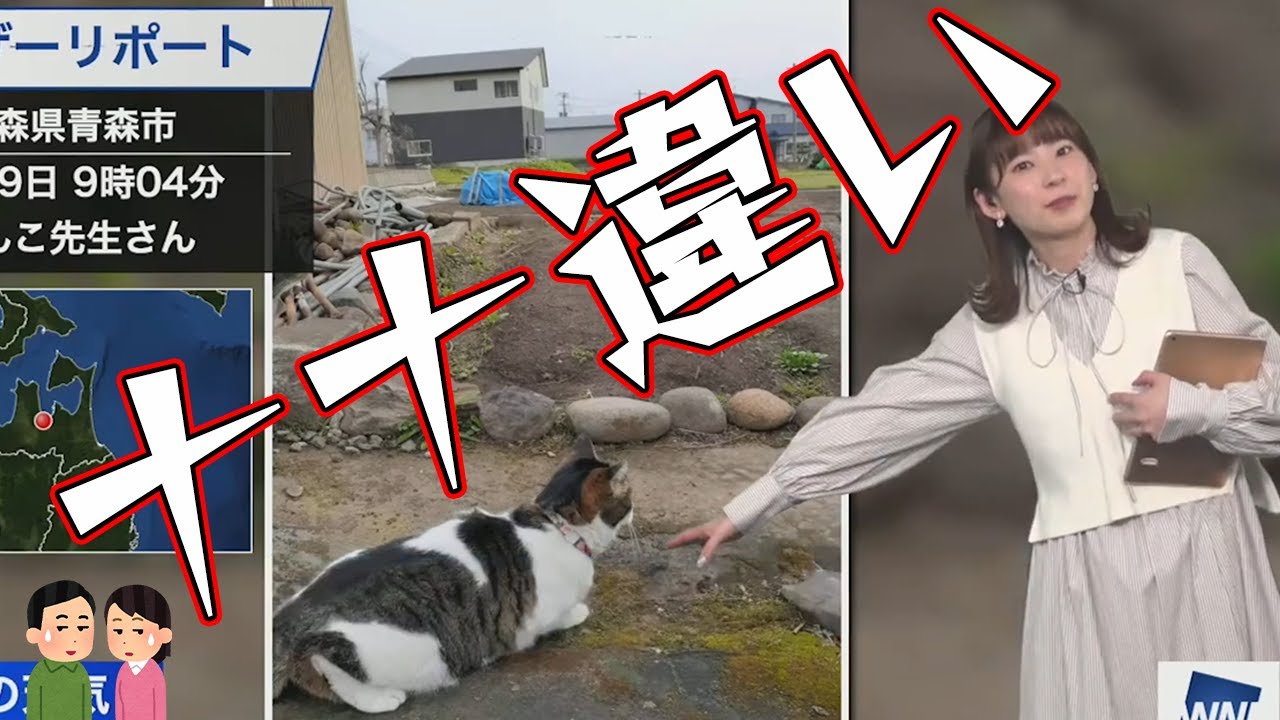【高山奈々】ナナちゃんだと勘違いするお天気お姉さん【ウェザーニュース切り抜き】