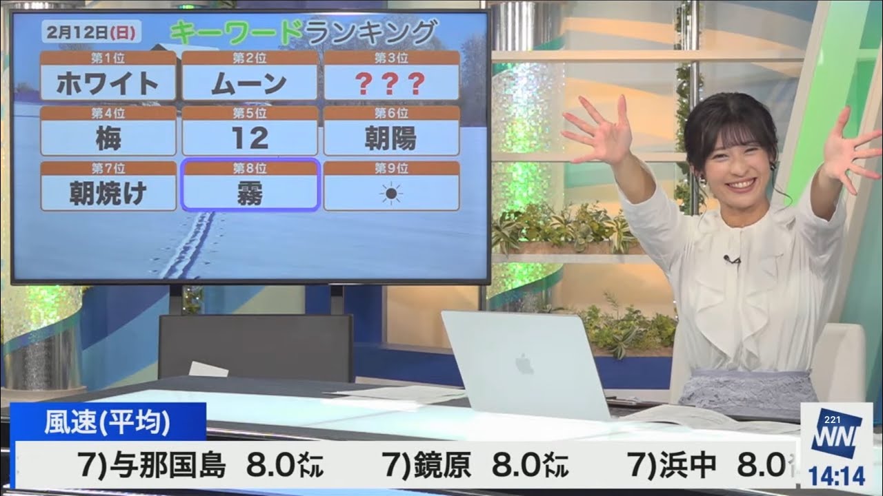 ランキング(2023/02/12日)
