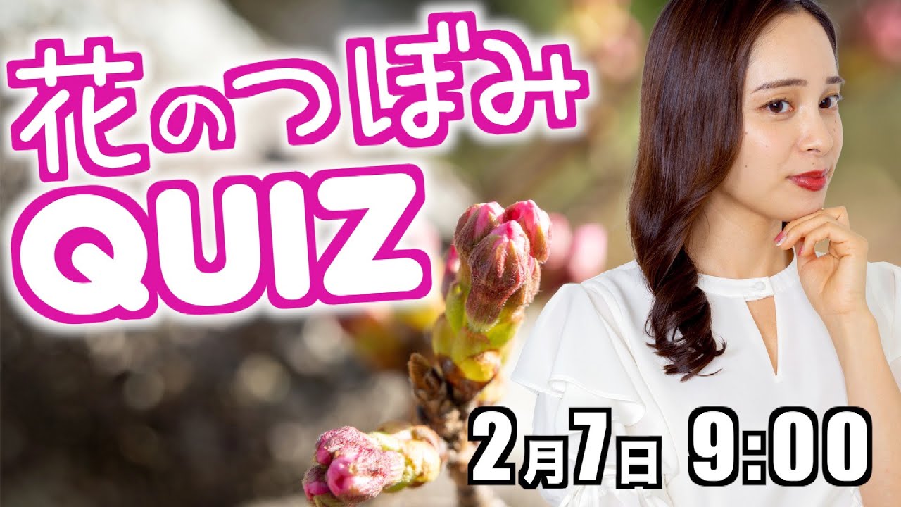 【花のつぼみクイズ】この蕾なぁ〜んだ？/2023年2月7日 9時00分 （ウェザーニュースキャスター内田侑希）