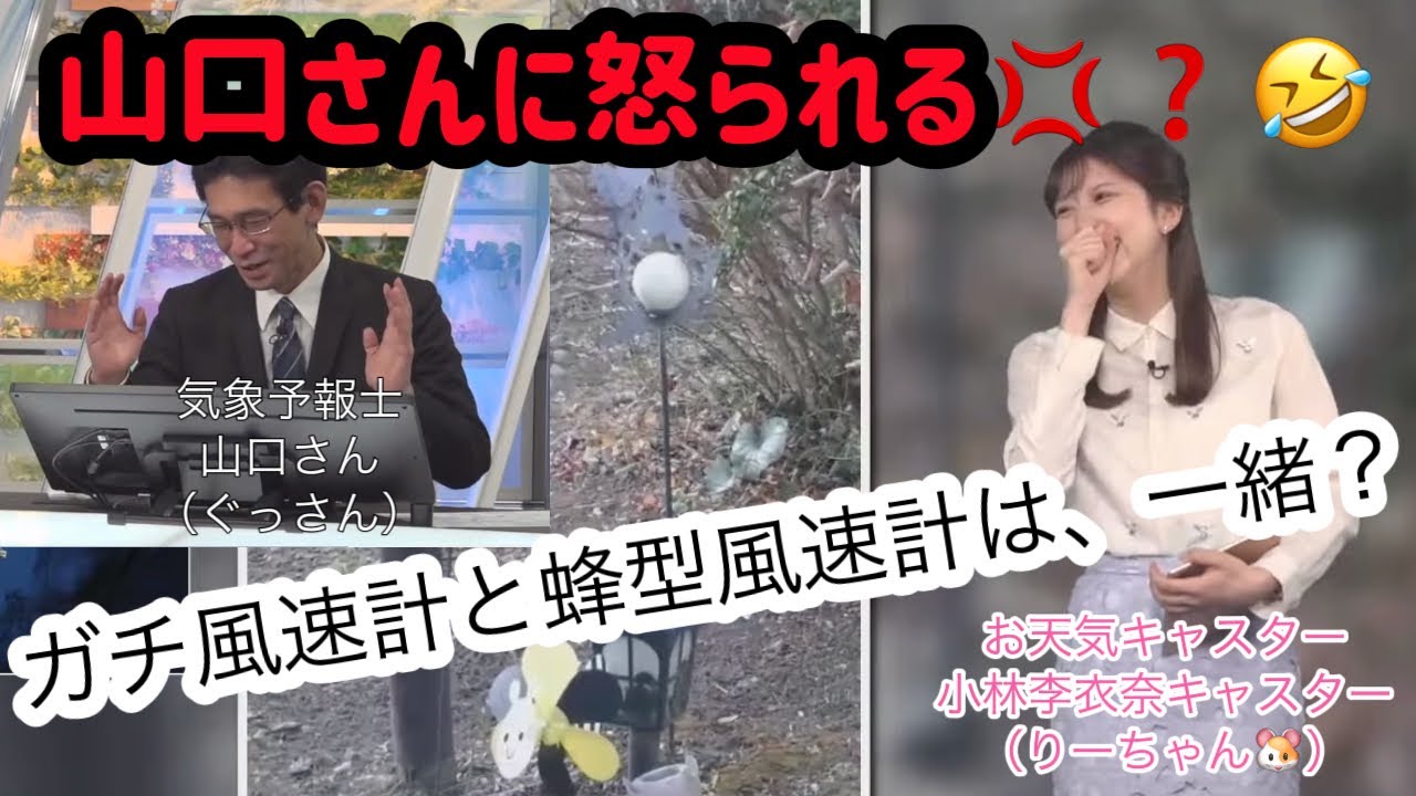 【小林李衣奈】山口さん（ぐっさん）に怒られる💢❓🤣　ガチ風速計と蜂型風速計は、一緒？　2023年1月21日モーニング🐓　#ウェザーニュース #切り抜き