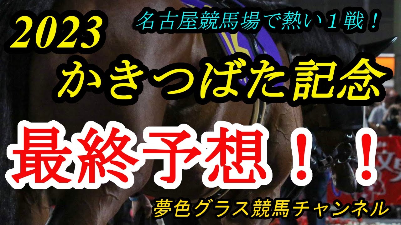 【最終予想】2023かきつばた記念！名古屋競馬場の戦い方が合いそうな馬は？ドライスタウトの外枠もポイントに