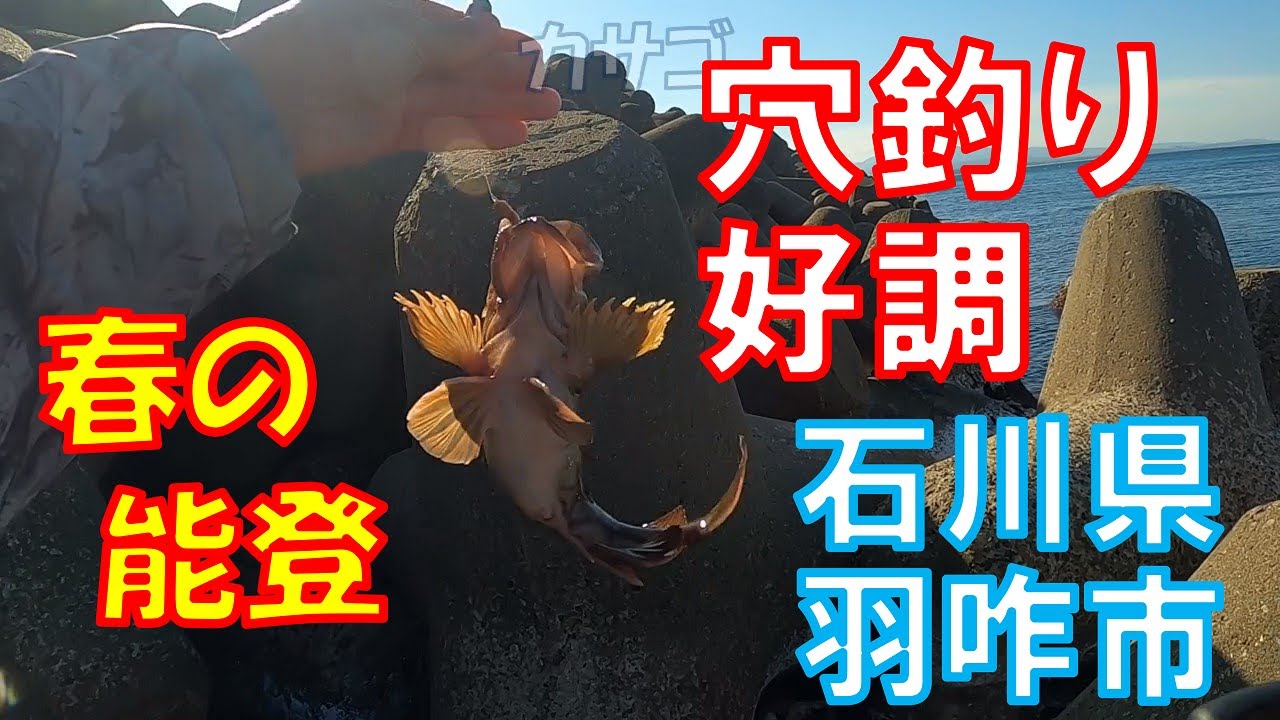 穴釣りでカサゴ好調＠滝港【石川県攻略・羽咋市】