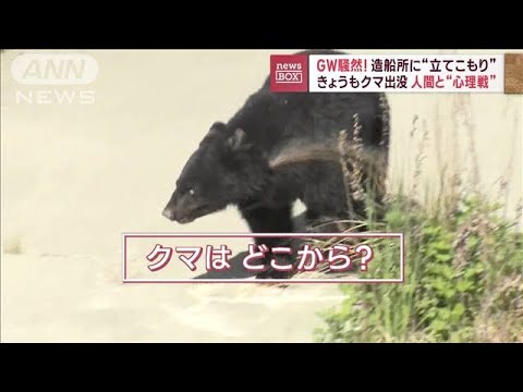 【GW騒然】クマ“包囲網”抜けきょうも出没　造船所に“立てこもり”(2023年5月3日)