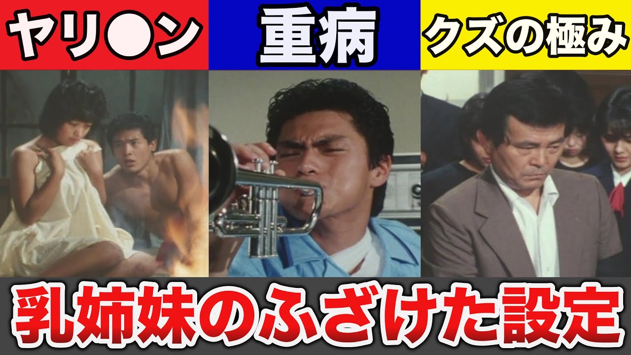 【ゆっくり解説】昔の名作ドラマ乳姉妹の登場人物が全員ヤバイ！