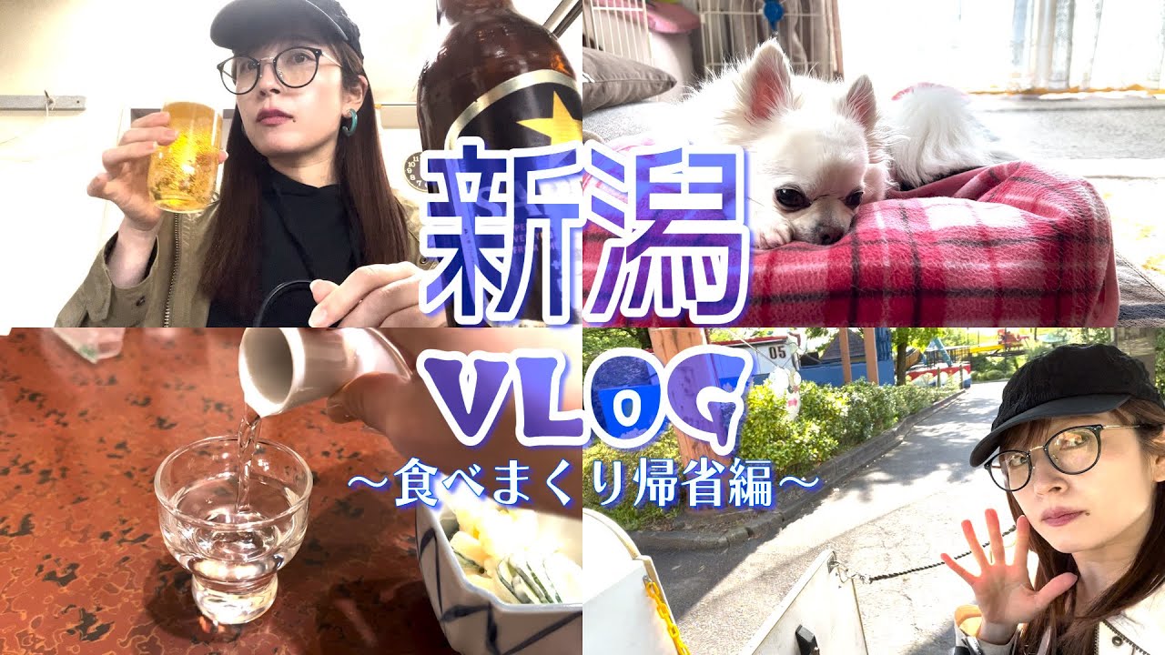 【新潟帰省旅VLOG〜食い倒れ編〜】