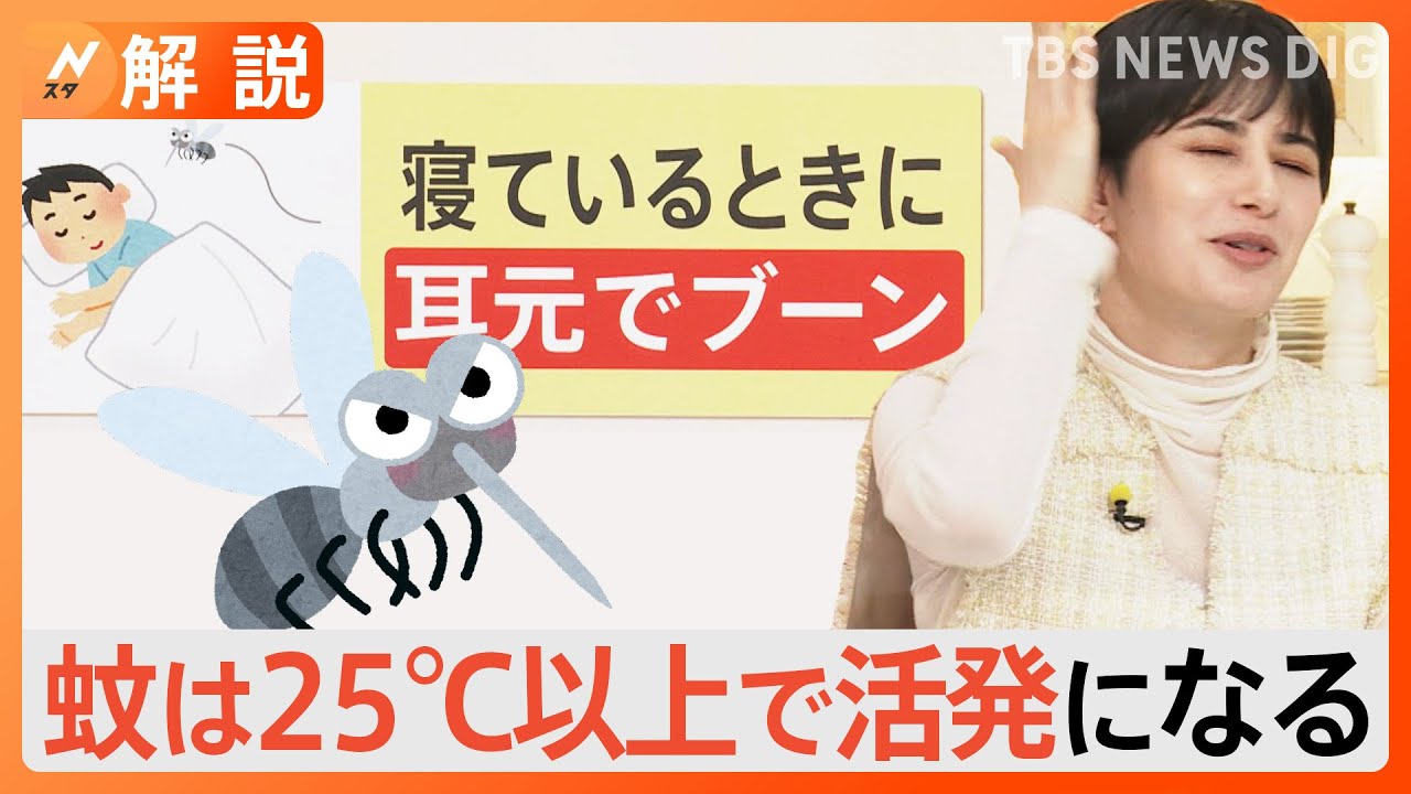 大型連休後半は…“蚊”に要注意！？ 気温上昇で活動開始も…刺されない方法とは？ ネットの噂を確認すると【Nスタ】｜TBS NEWS DIG