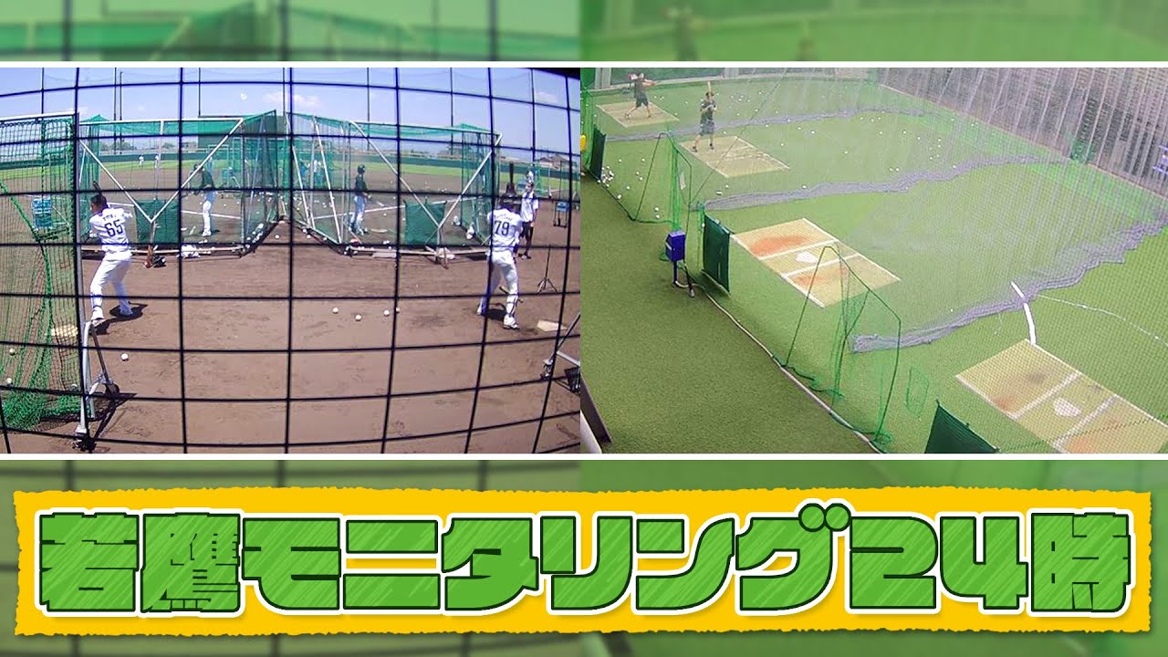 若鷹モニタリング24時