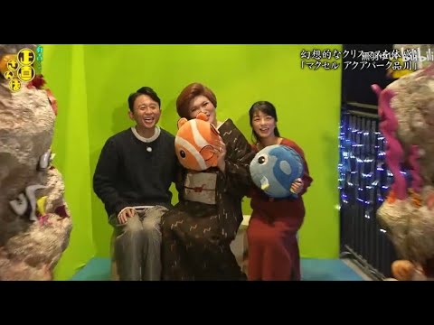 『有吉くんの正直さんぽ』 𒅒 🅷🅾🆃 ☂「マクセルアクアパーク品川」🏃‍♀️🏃‍♂️🏃‍♂️
