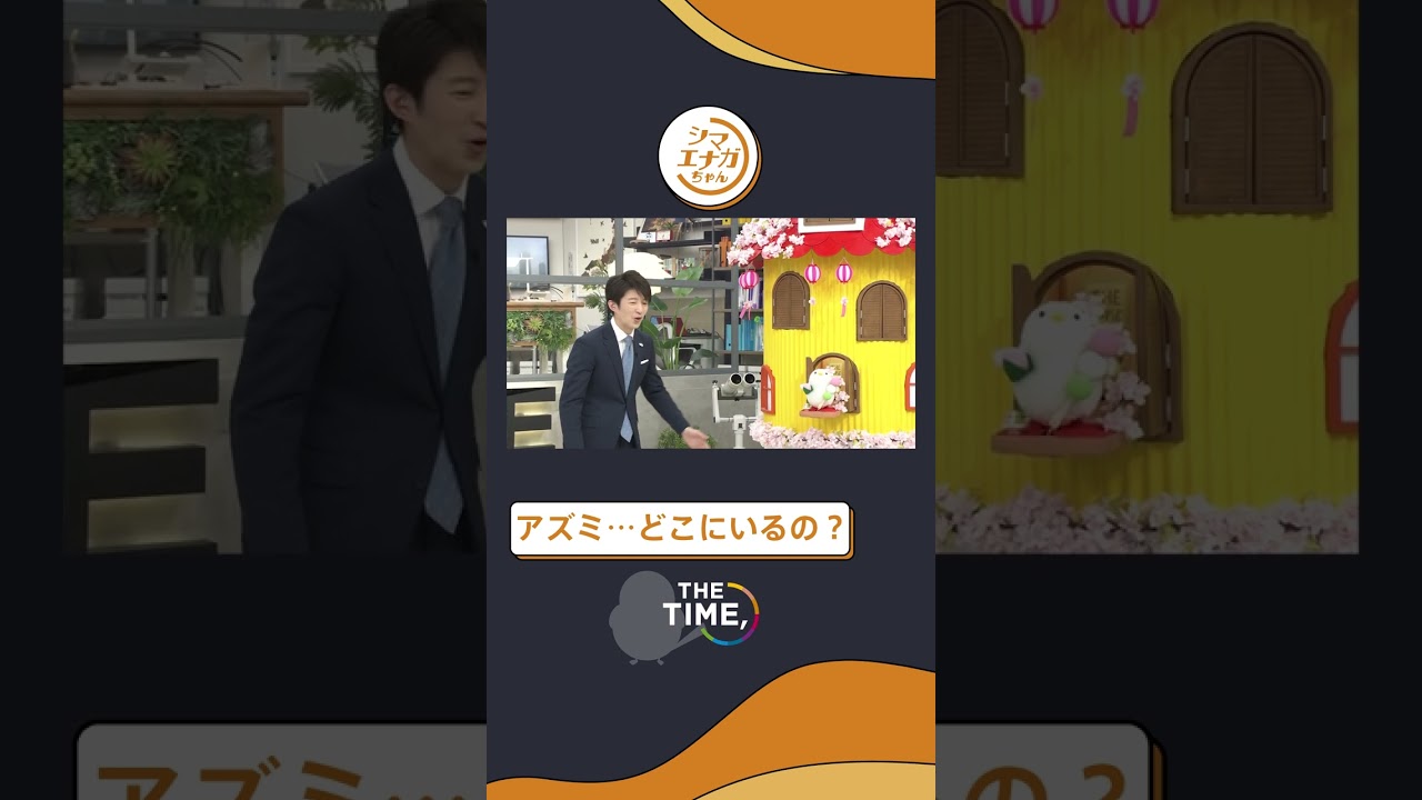【THE TIME,】アズミ…どこにいるの？#thetime_tbs #thetime切り抜き #アズミ #スギちゃん #杉山真也 #シマエナガちゃん #シマエナガ #shorts