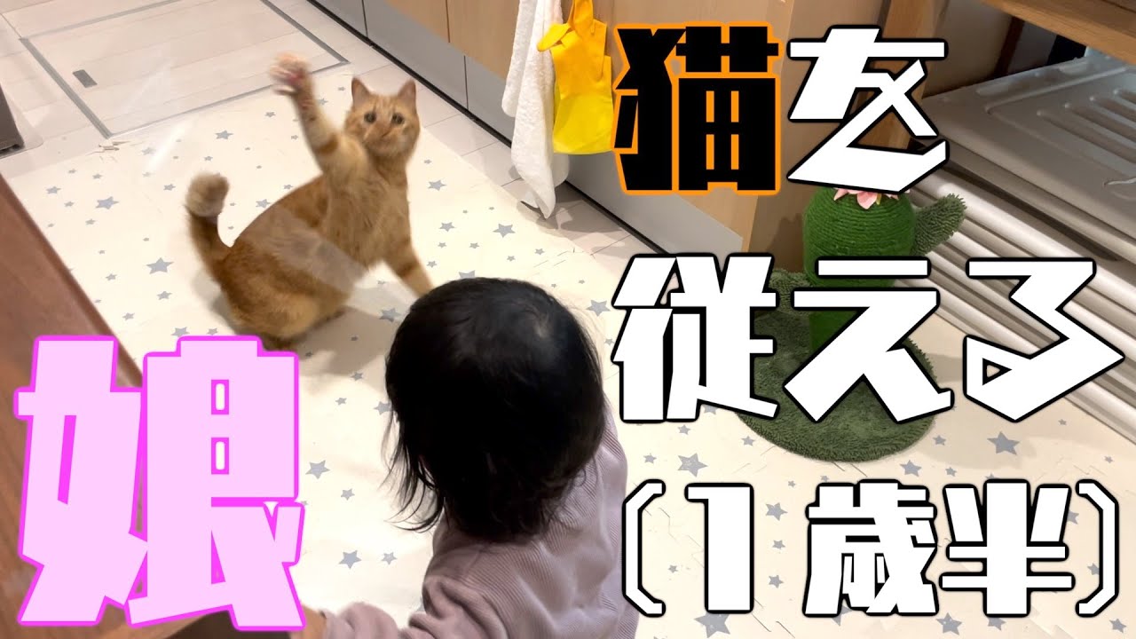 猫使い爆誕!!!!!!!