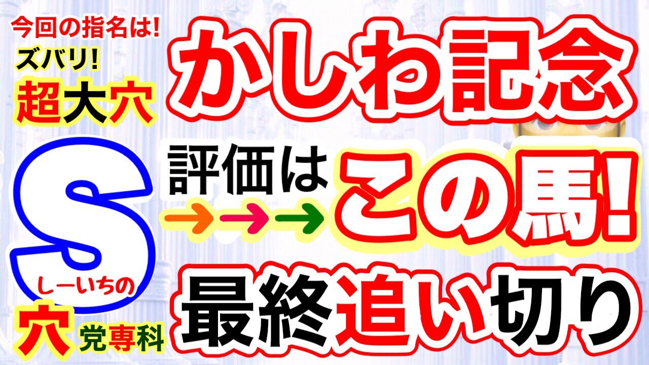 船橋競馬【かしわ記念2023】しーいちの最終追い切り評価と穴党専科指名馬！