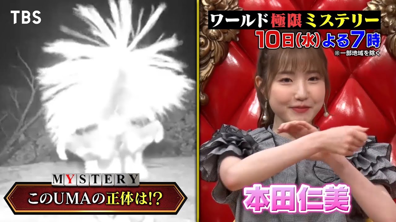 監視カメラが捉えたUMAの正体とは!? 5/10(水)『ワールド極限ミステリー』【TBS】