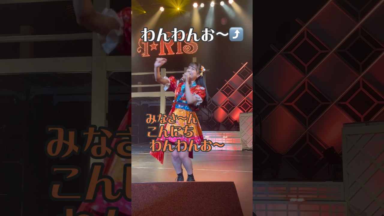 【i☆Risゴールデンまいにちショート】久保田未夢の自己紹介！イッヌ沢山いた！ #i_ris #アイドル #自己紹介 #ライブ #shortvideo #shorts #