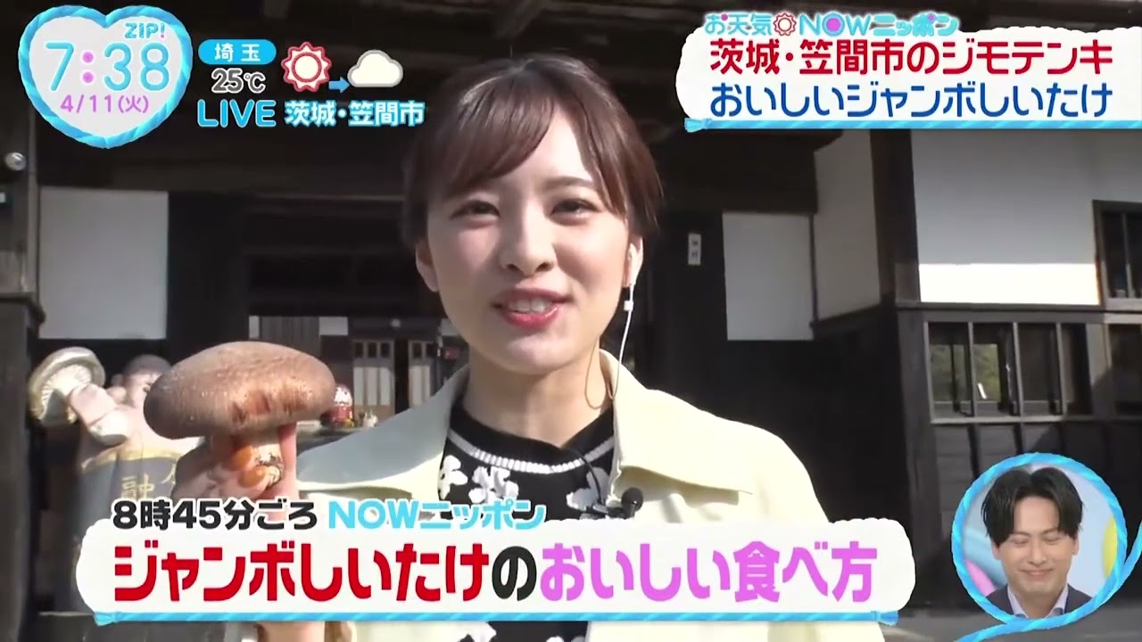 河出 奈都美アナ　キノコ