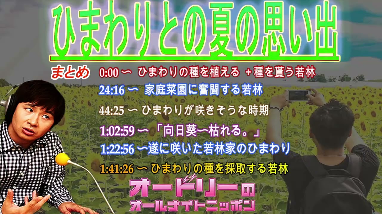 オードリー若林【ひまわりとの夏の思い出】🎙️オードリーのオールナイトニッポン ! up