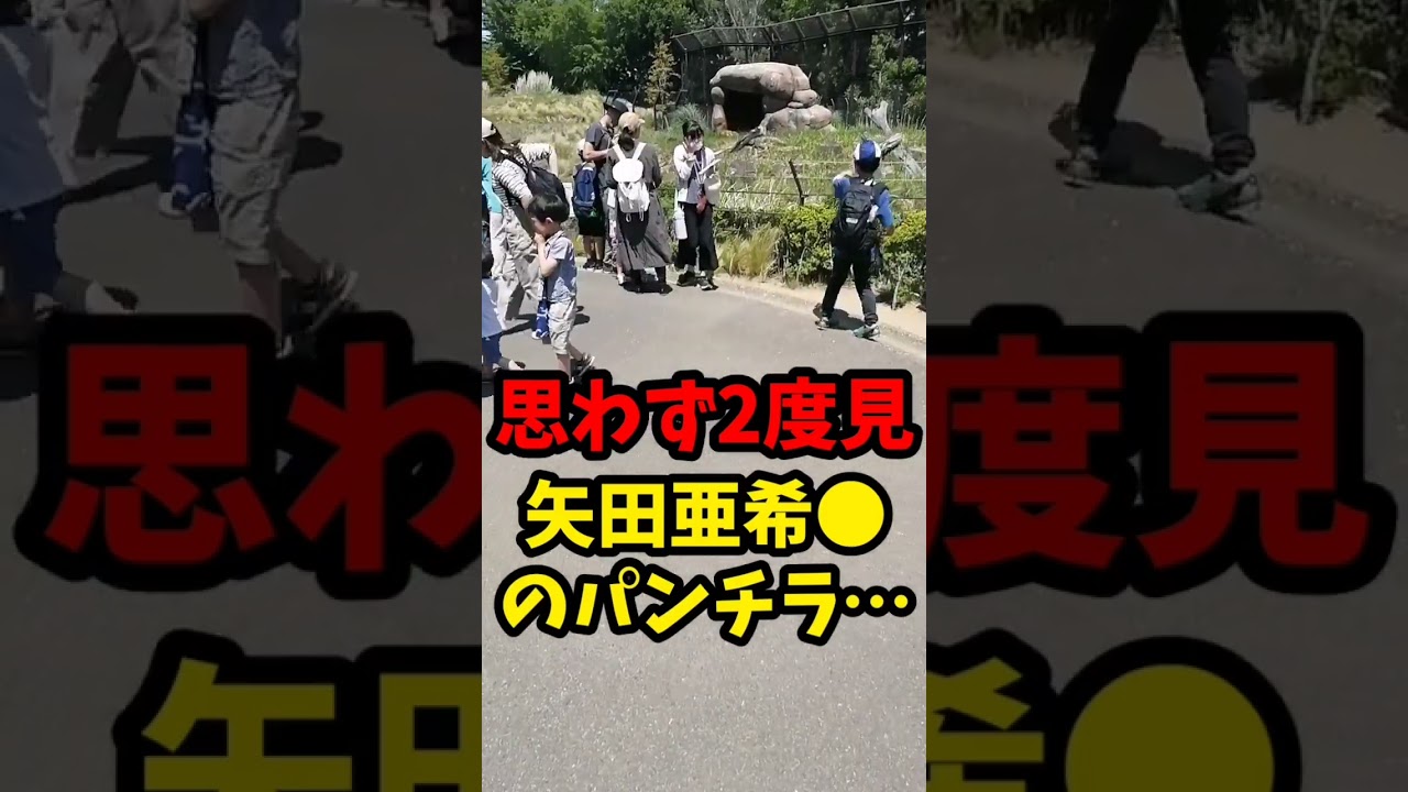 【思わず2度見】する矢田亜希●のパンチラ…