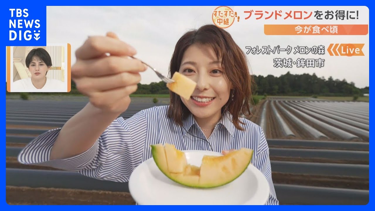 生産量日本一の茨城県でメロン狩り！食べ頃を見分けるのには“葉っぱ”に注目　BBQもメロンスイーツも盛りだくさん！【すたすた中継／Nスタ】｜TBS NEWS DIG