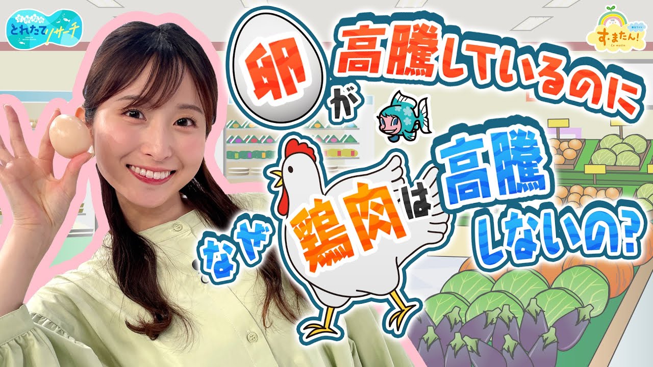 【卵】が高騰してるのに【鶏肉】が高騰しないのはナゼ？／とれたてリサーチ