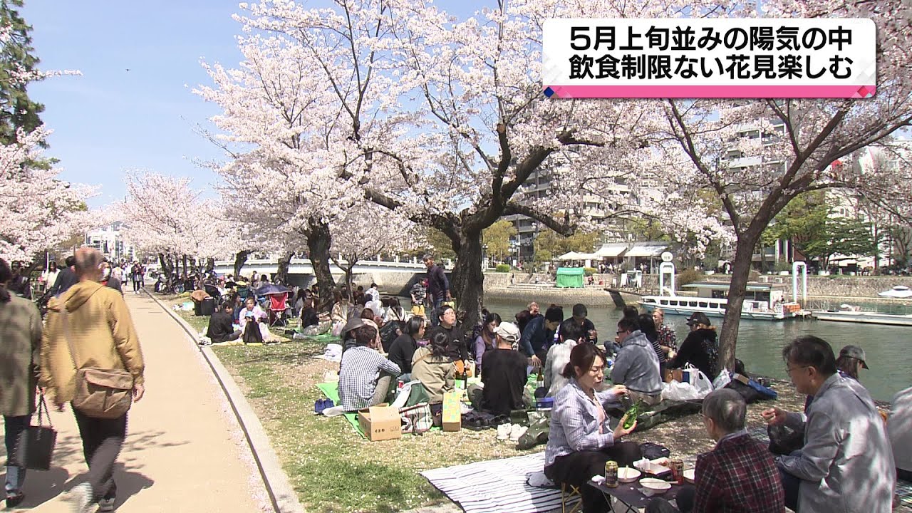 満開の桜を楽しむ　飲食自粛など制限ない中