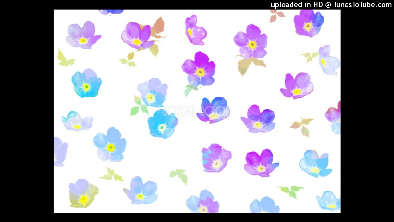 川田亜子アナウンサー【ぴよぴよのおはなしシリーズ/2528】