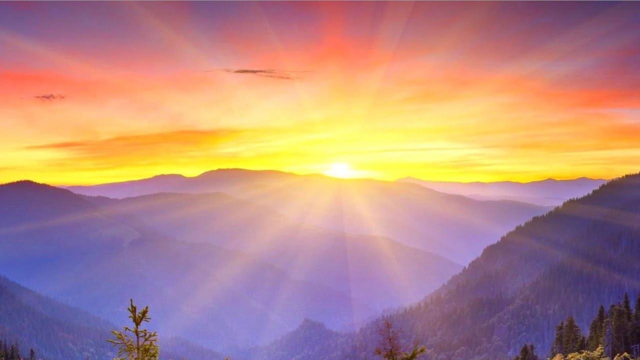 DayDay. Vs ZIP! 2023年05月12日FULL SHOW HD 【LIVE】