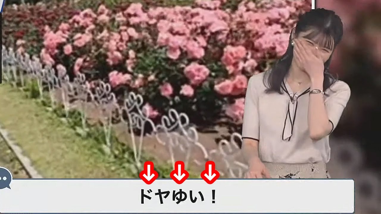 【駒木結衣】先日覚えたばかりの蝶々の数え方をドヤ顔で説明してちょっと照れちゃうお天気お姉さん