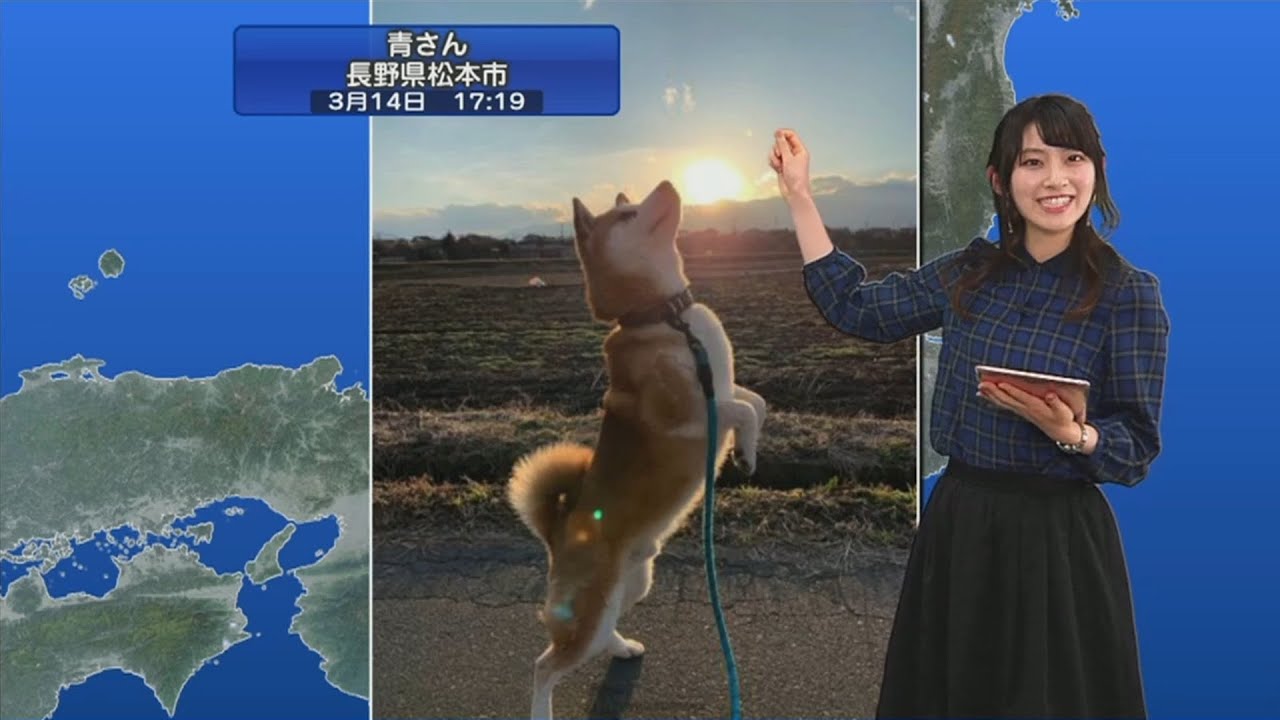 Sっち 被害者まとめ【檜山沙耶】