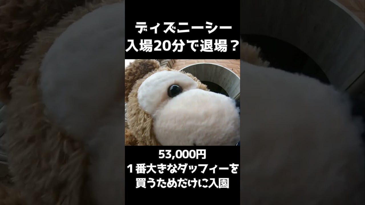 滞在時間20分！53000円 ダッフィー Lサイズを購入