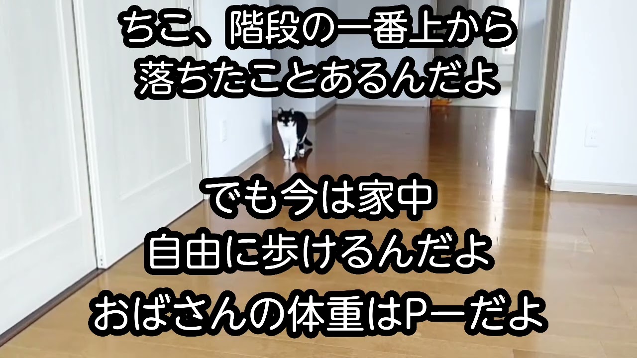 いまさらの自己紹介