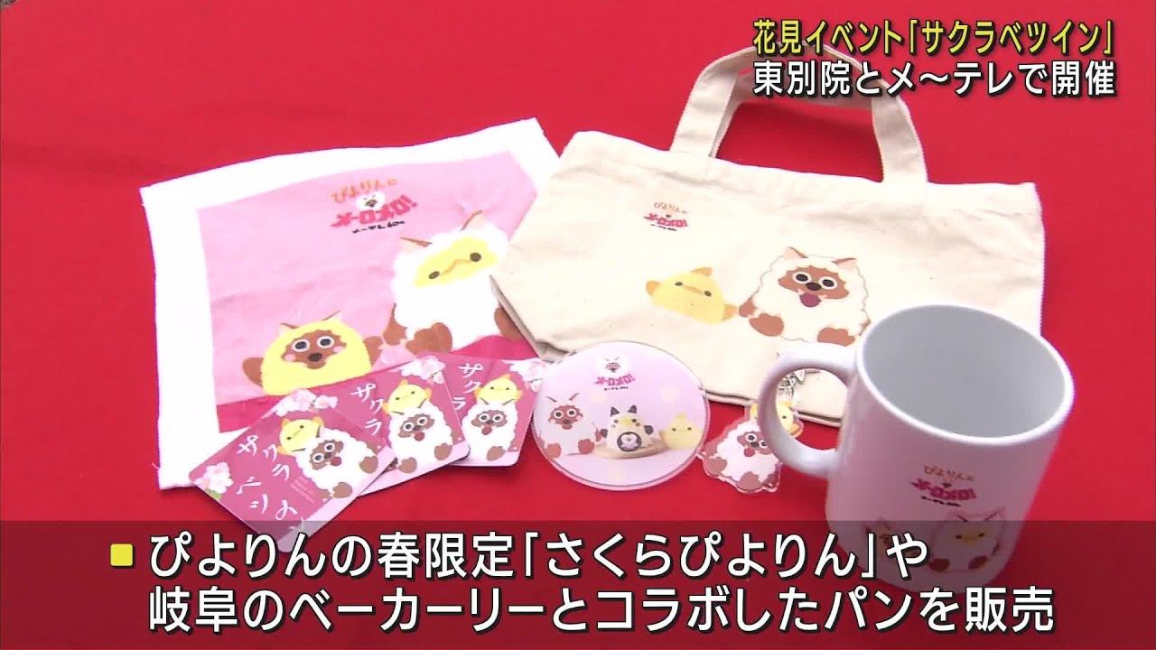 桜の下で東別院とメ～テレがコラボ「サクラベツイン」　ぴよりん限定商品販売　アナウンサー体験も　名古屋 (23/03/25 12:20)