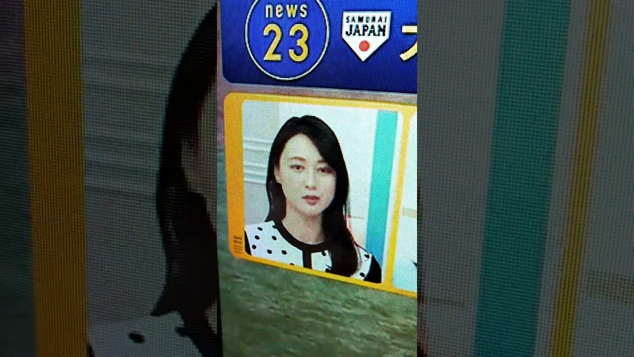 小川彩佳23の応援団167