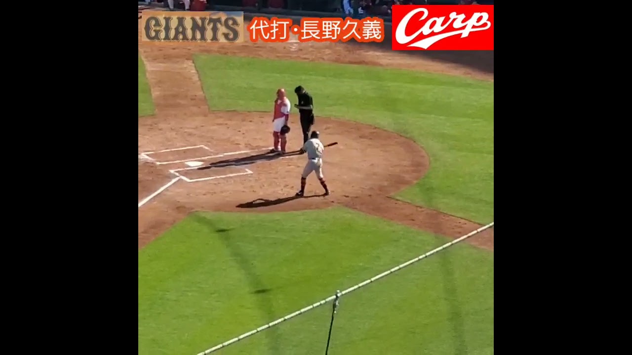 20230409　代打･長野のアナウンス　#shorts　#ウグイス嬢　#長野久義　#読売ジャイアンツ @MAZDA Zoom-Zoom ｽﾀｼﾞｱﾑ広島･ﾋﾞｼﾞﾀｰﾊﾟﾌｫｰﾏﾝｽ