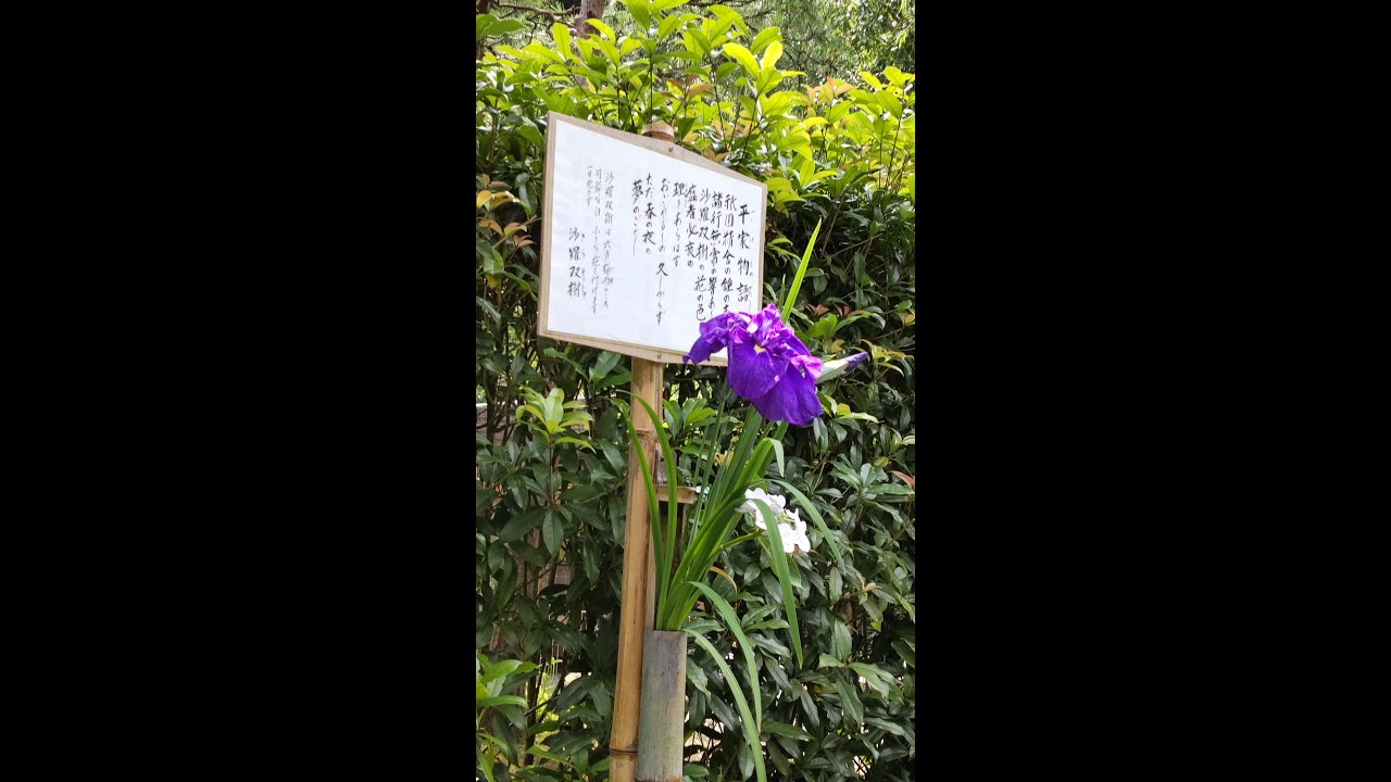 吉川英治　宮本武蔵75第八巻　熱湯　朗読平野直樹