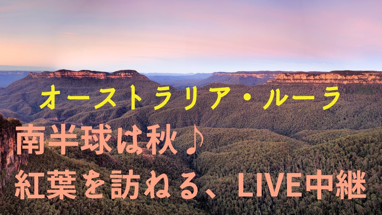 【ライブ中継】オーストラリア　南半球は秋♪紅葉に出会う、LIVE中継
