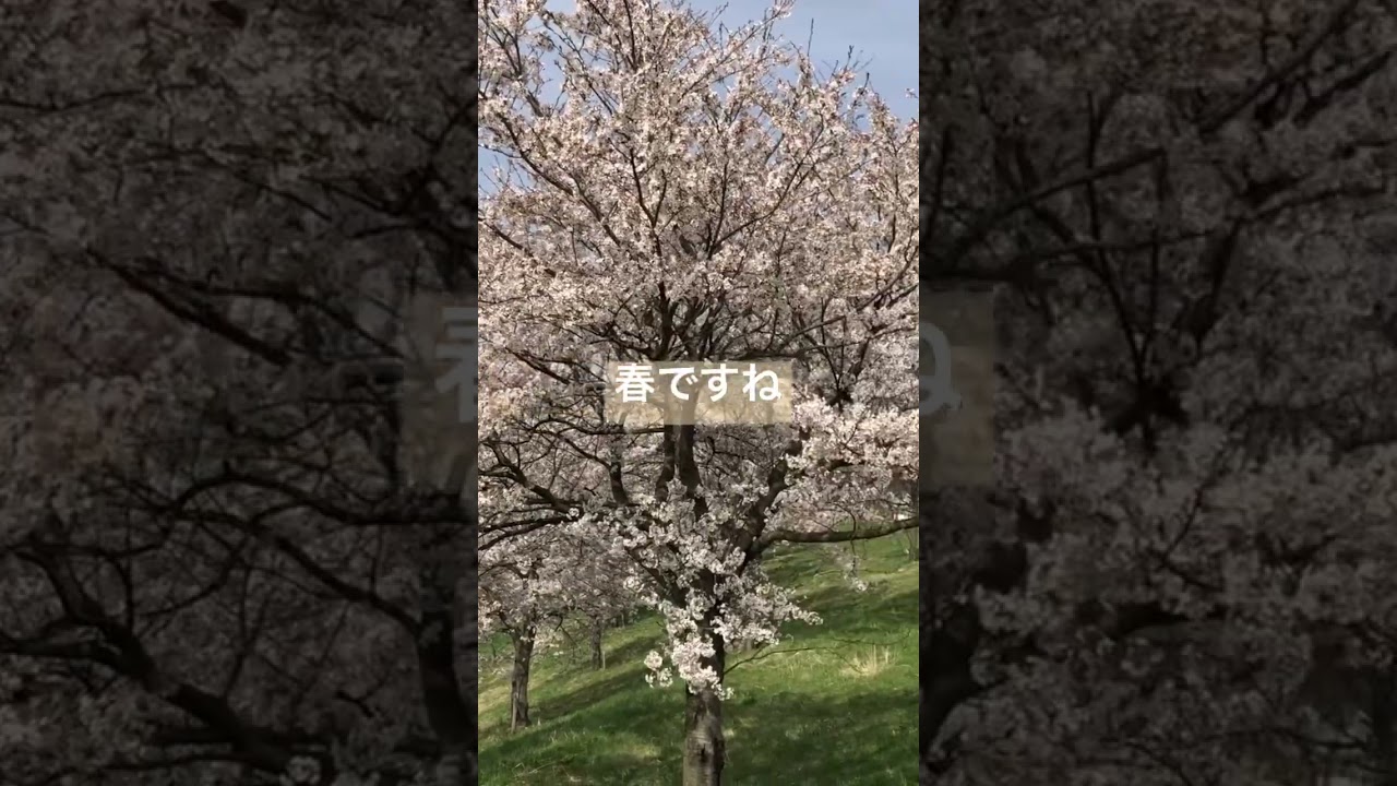 2023年4月12日