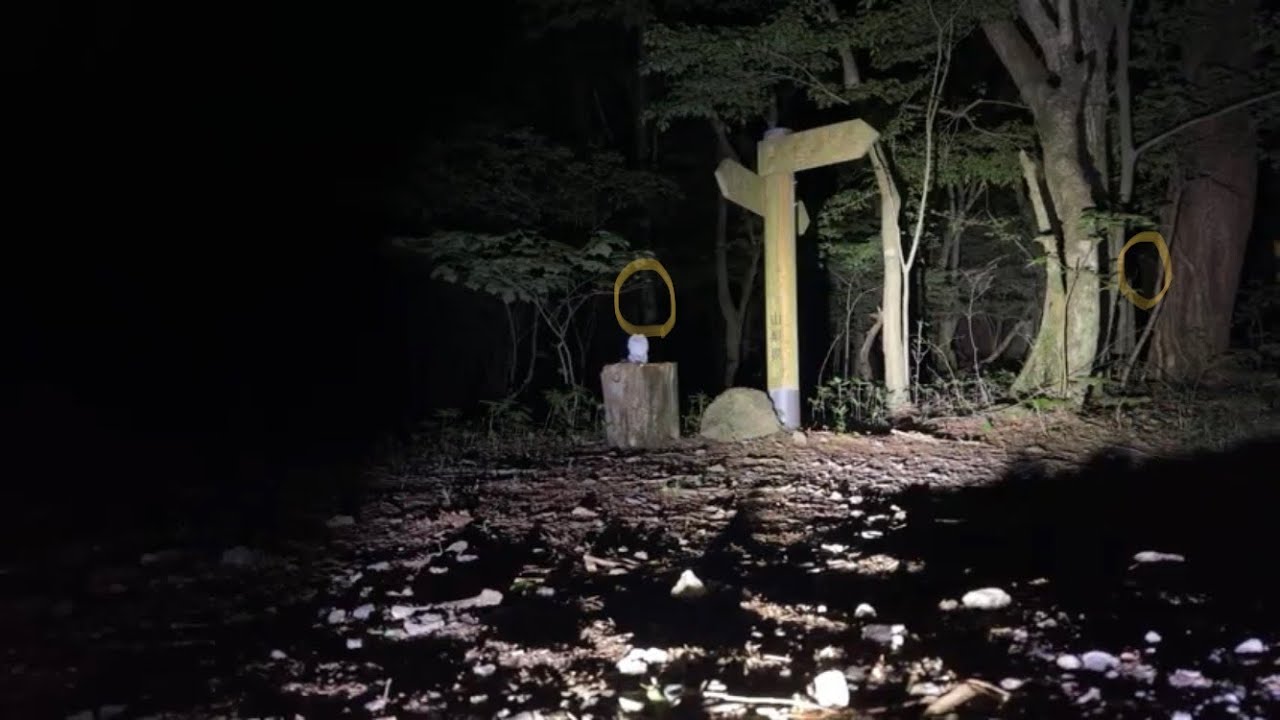 本当に怖い…富士の樹海心霊Live