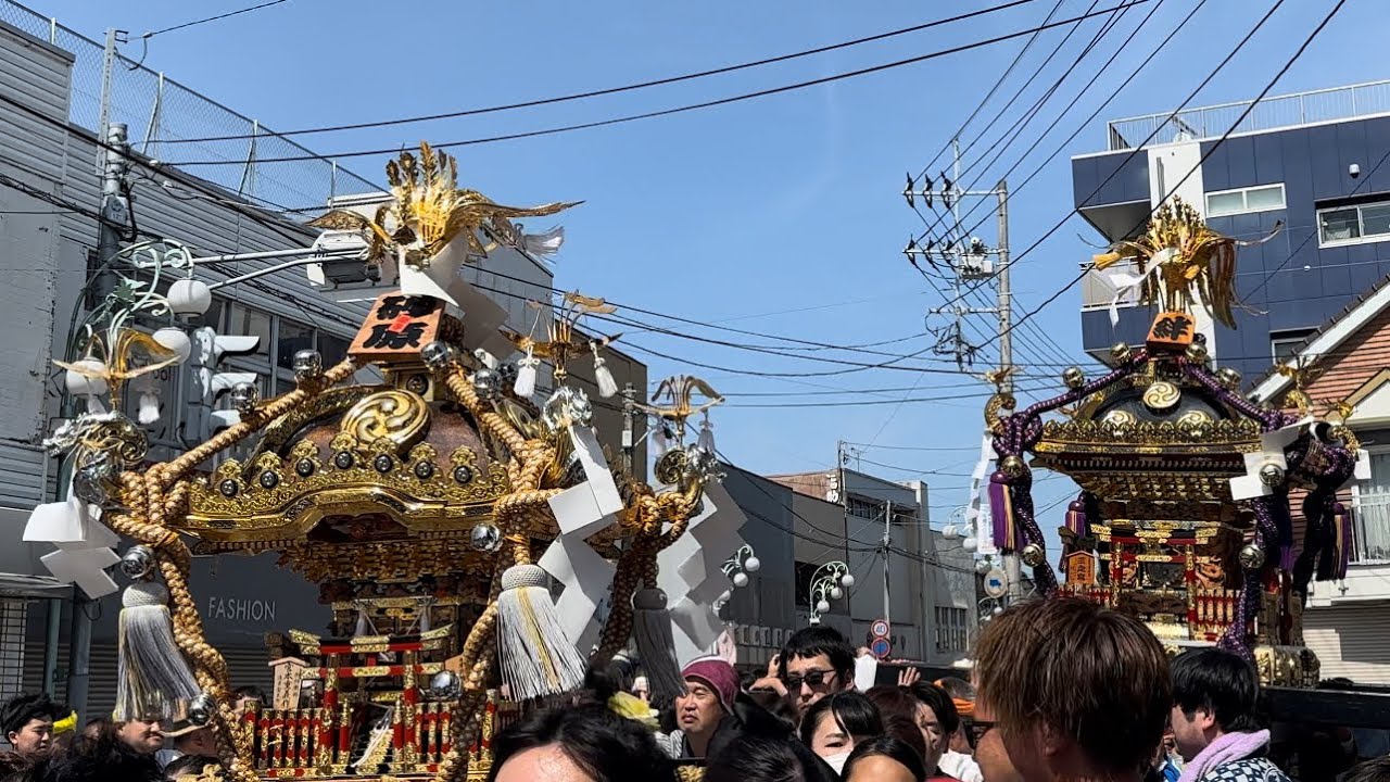 八重垣神社祇園祭　連合渡御100周年記念『神輿渡御』田町