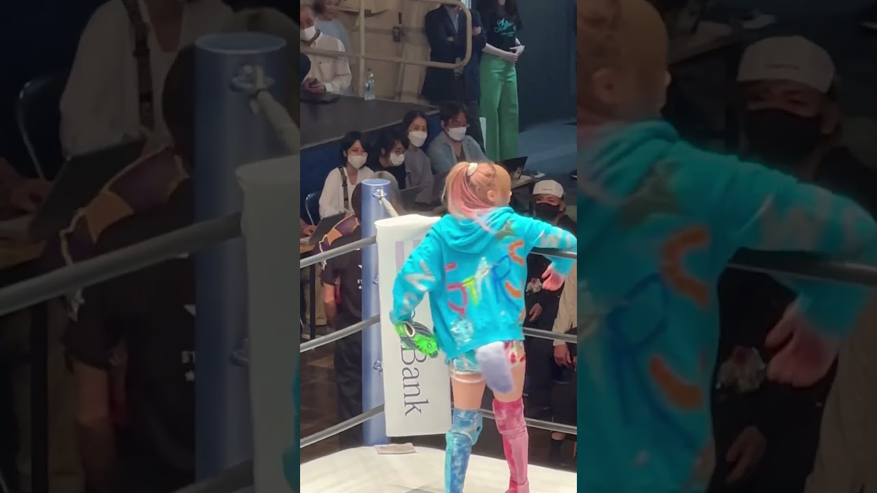 【女子プロレス】ひめかの引退ラストで岩谷麻優がひめかとリング上で野球！最後は大変な事に！【スターダム】