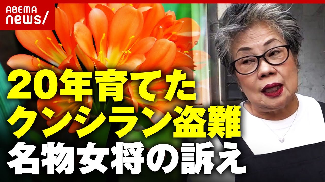 【謎】観葉植物クンシラン盗難「20年育てた花を返して」名物女将が悲痛な訴え…ネットでは20万円の取引も｜ABEMA的ニュースショー