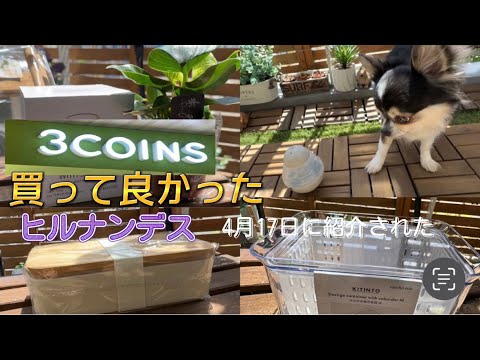 【4/17ヒルナンデスで紹介された】人気爆発のあの商品🎉愛犬も喜ぶ知育玩具とは…