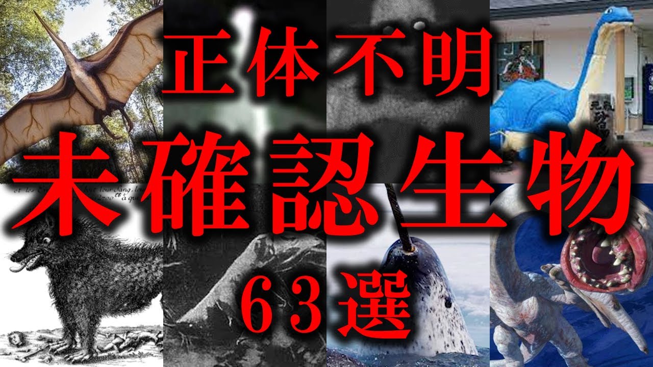 【作業用・睡眠用】世界が震えた‥未だ解明されない未確認生物63選【傑作まとめ】