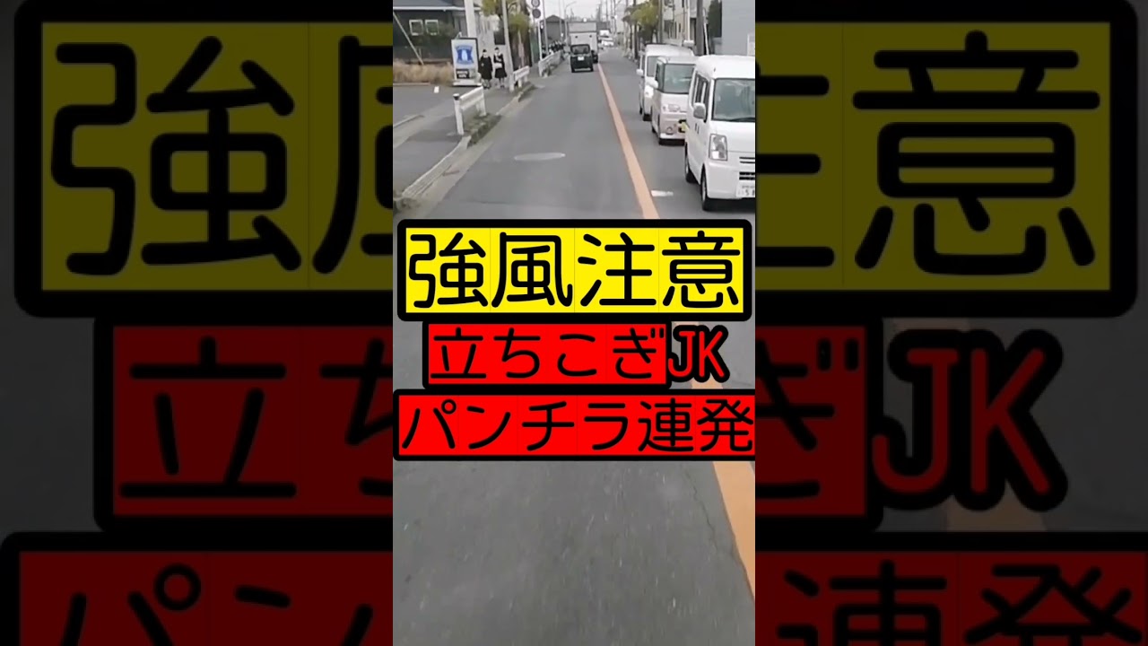 【強風注意！】立ちこぎJKパンチラ連発！！