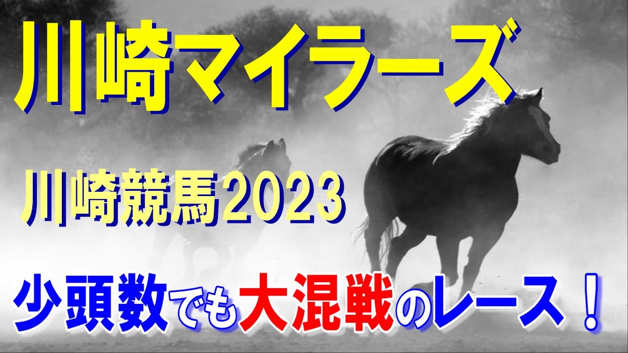 川崎マイラーズ【川崎競馬2023予想】少頭数でも混戦で中波乱がありそうなレース