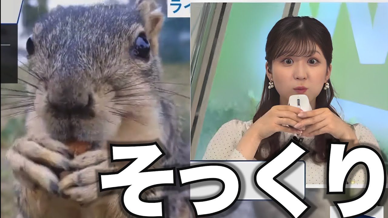 お天気お姉さんが小動物の真似をした結果…【小林李衣奈】