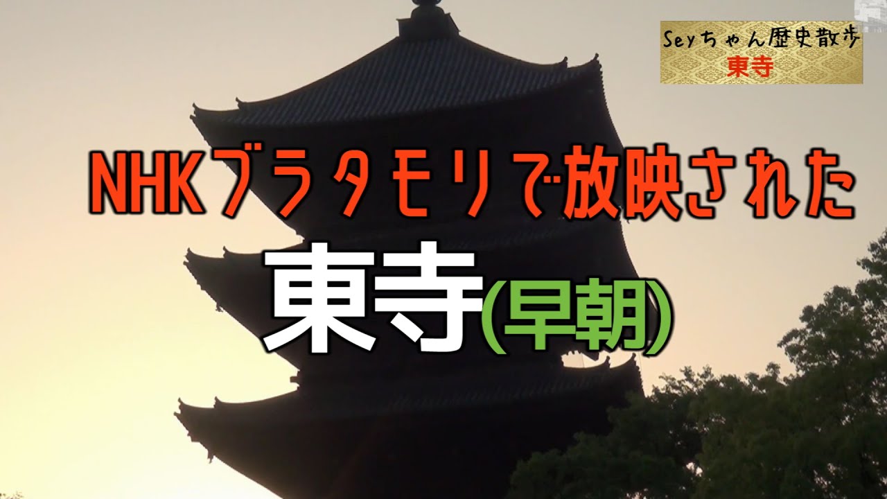 🆕ブラタモリで放映された「東寺」早朝に行ってきました#SEYちゃんの歴史散歩