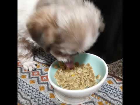 ご飯食べる乃蒼さん😍